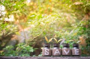 Young plants growing in the glass bottle on old wooden table for business investment growth or saving concept photo