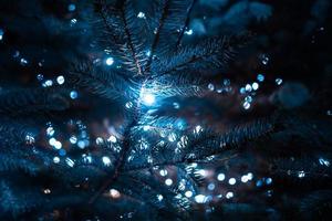 Christmas tree with cones on a city street illuminated with a garland. photo