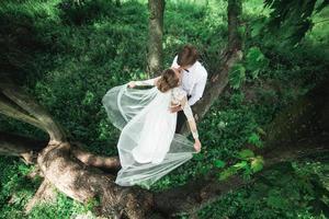Bride and groom in the forest photo