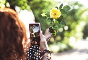 Woman photographing a yellow rose on a smartphone photo