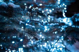 Christmas tree with cones on a city street illuminated with a garland. photo