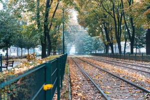 Empty railroad surrounded by green trees on the street photo