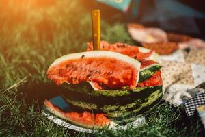 watermelon on the grass photo