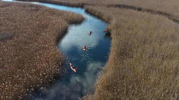 Group of people in kayaks among reeds on the autumn river. photo