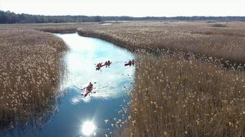 Group of people in kayaks among reeds on the autumn river. photo