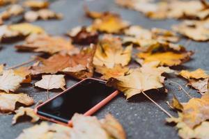 The smartphone lying on the ground in the fall photo