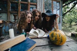 Three vintage witches perform magic ritual photo