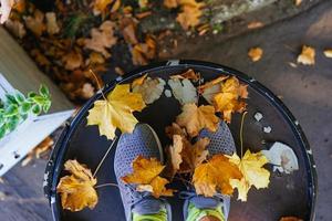 Feet in running shoes in the autumn leaves. Top view. photo