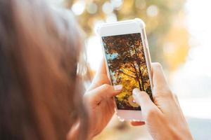 mujer toma una foto de un árbol de otoño en una calle