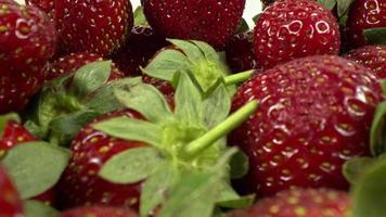 Haufen frischer natürlicher Erdbeeren, die darauf warten, verkauft zu werden. video