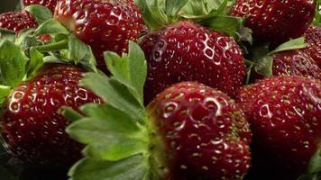 montón de fresas naturales frescas a la espera de ser vendidas. video