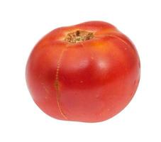 single organic red tomato isolated on white photo