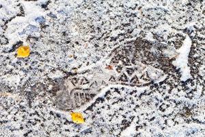 top view of frozen footprint on road in autumn photo