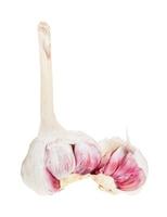 broken bulb of fresh garlic isolated on white photo