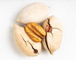 few cracked and shelled pecan nuts closeup on gray photo