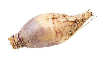 fresh rutabaga vegetable isolated on white photo