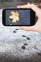 picture of frozen fallen leaf in first snow photo