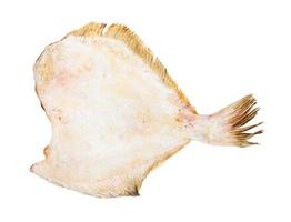 raw frozen headless flounder fish isolated photo