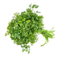 bunch of fresh Chervil herb isolated on white photo