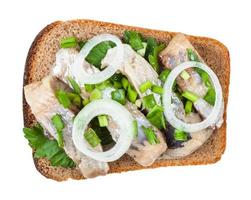 top view of open sandwich salted herring and onion photo