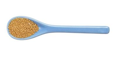 granulated dried yeast in ceramic spoon isolated photo