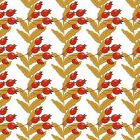 hermosas hojas de serbal de patrón otoñal y frutos rojos de rosa mosqueta se pueden usar para carteles, pancartas, fondos vector