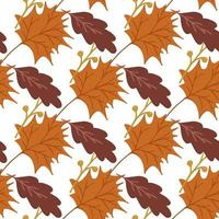 beautiful autumn pattern maple and oak leaves can be used for posters banners backgrounds vector