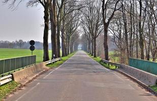 Beautiful view on countryside roads with fields and trees in northern europe photo