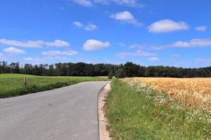 Beautiful view on countryside roads with fields and trees in northern europe photo