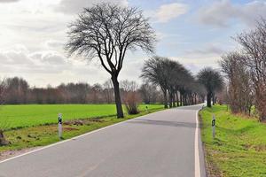 hermosa vista de caminos rurales con campos y árboles en el norte de europa foto