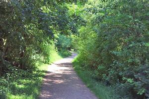 Beautiful view on countryside roads with fields and trees in northern europe photo