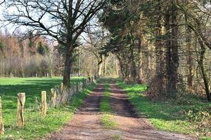 hermosa vista de caminos rurales con campos y árboles en el norte de europa foto