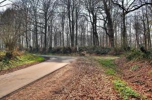 Beautiful view on countryside roads with fields and trees in northern europe photo