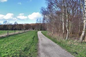 Beautiful view on countryside roads with fields and trees in northern europe photo