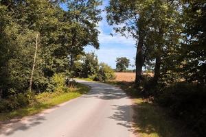 hermosas vistas de los caminos rurales con árboles y campos durante el otoño foto