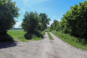 hermosa vista de caminos rurales con campos y árboles en el norte de europa foto