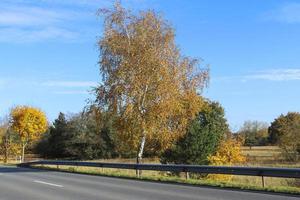 Beautiful view on countryside roads with trees and fields during autumn photo