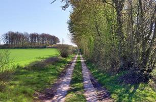 Beautiful view on countryside roads with fields and trees in northern europe photo