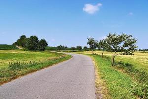 hermosa vista de caminos rurales con campos y árboles en el norte de europa foto