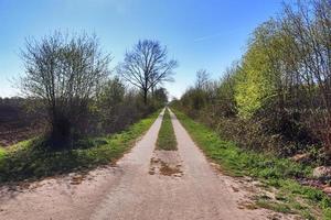 hermosa vista de caminos rurales con campos y árboles en el norte de europa foto