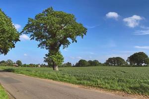 Beautiful view on countryside roads with fields and trees in northern europe photo