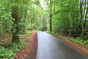 Beautiful view on countryside roads with fields and trees in northern europe photo