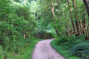 Beautiful view on countryside roads with fields and trees in northern europe photo