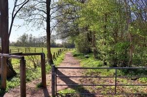 Beautiful view on countryside roads with fields and trees in northern europe photo