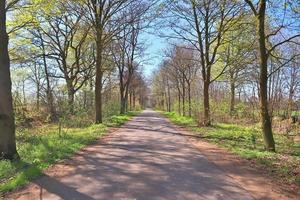 Beautiful view on countryside roads with fields and trees in northern europe photo