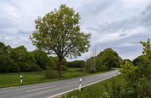 Beautiful view on countryside roads with fields and trees in northern europe photo