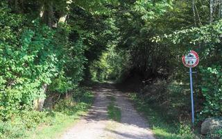 hermosa vista de caminos rurales con campos y árboles en el norte de europa foto