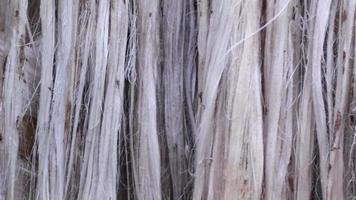 Close-up shot Hanging Raw jute fiber swings in the air video