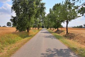 Beautiful view on countryside roads with fields and trees in northern europe photo