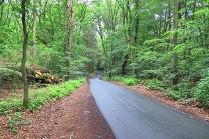 Beautiful view on countryside roads with fields and trees in northern europe photo